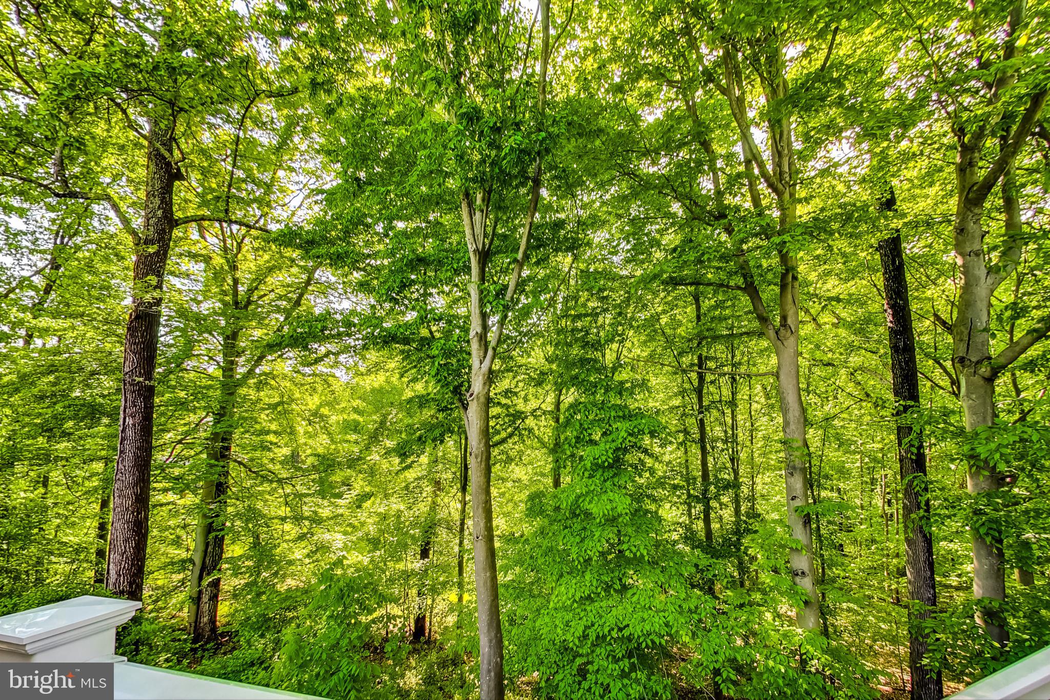 HALLOWELL - Residential