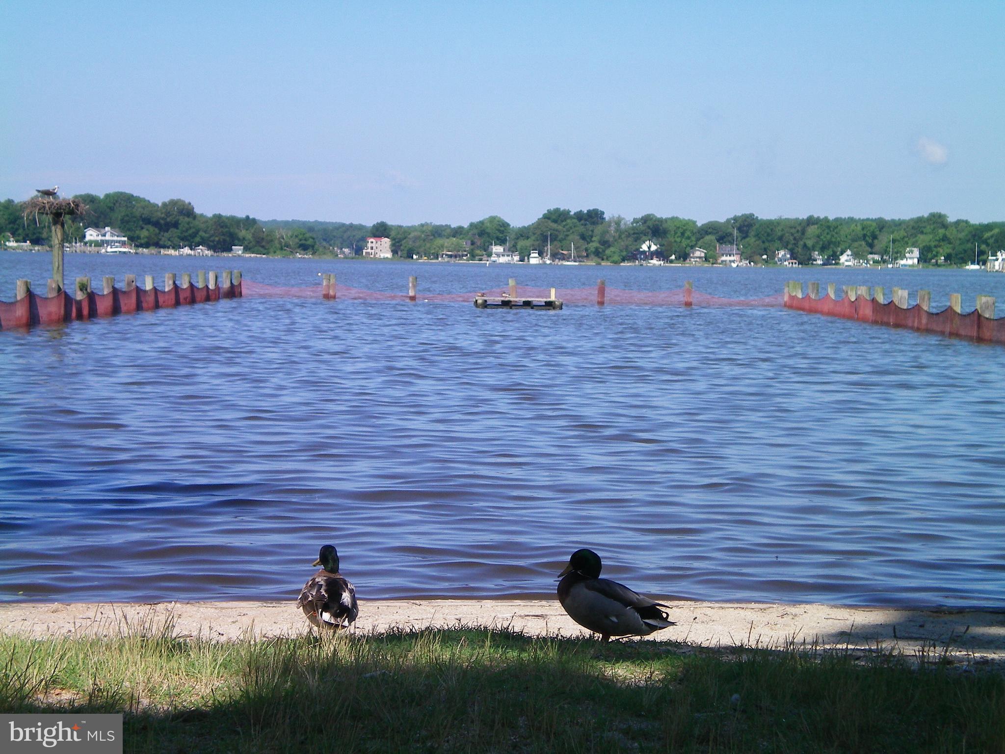 AVALON SHORES - Residential