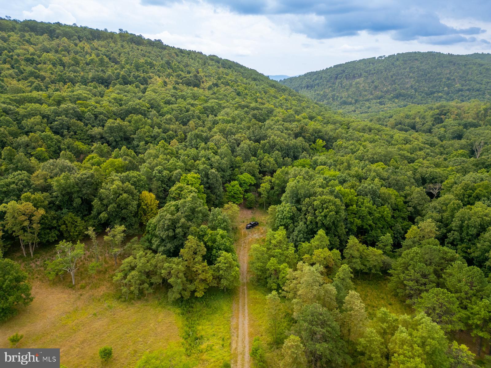 Welcome to your slice of paradise in the historical high-end community of Nancy Hank’s Farm. This pristine wooded 10.67 acre property is perfectly situated at the end of a cul-de-sac, offering unmatched tranquility and privacy. Bordering over 350 acres of lush forest, this property is a nature lover’s dream, ideal for building your dream home or creating a serene weekend getaway. With an approved Perc, you'll have a smooth process beginning your new construction. Enjoy being disconnected from the hustle and bustle of city life while staying connected with high-speed internet through Starlink. Working remotely from home has never been so easy...or peaceful!! Conveniently located, you’re just 20 minutes from the Super Walmart in Keyser, 40 minutes from the small town feel of Romney and Moorefield, and 1 hour and 30 minutes from the shopping and dining options in Winchester, VA. For outdoor enthusiasts, it’s a quick hour’s drive to the stunning Dolly Sods Wilderness and the Canaan Valley Ski Resort. The Trout Pond Recreation Area is just an hour and 10 minutes away, offering fantastic opportunities for fishing and hiking. With Cumberland, MD only 55 minutes away and Washington DC about 2 hours and 40 minutes drive, you can enjoy the perfect balance of rural serenity and urban accessibility. Good land is scarce in the current market so don’t miss this rare opportunity to own a beautiful piece of land in such a coveted location!