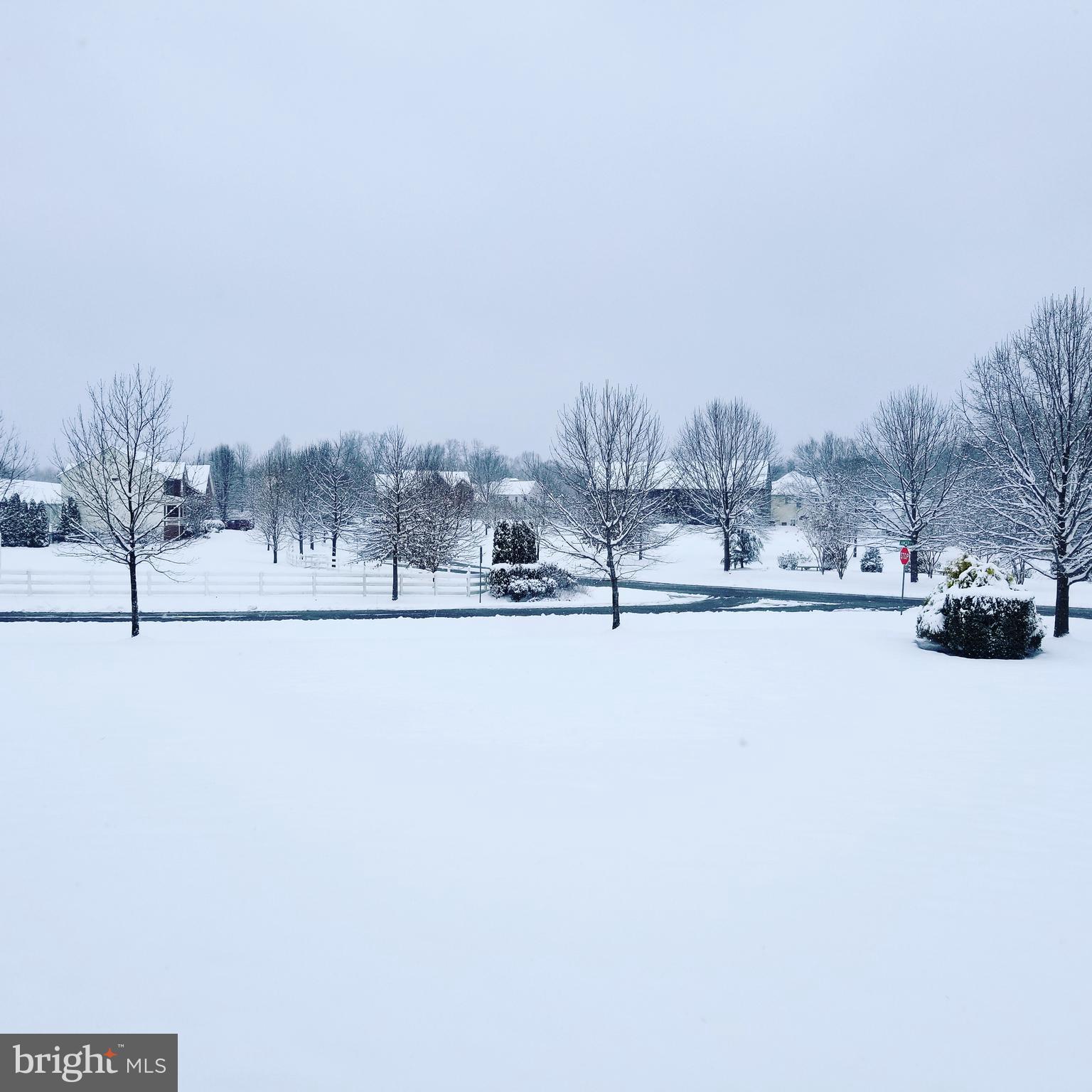 LYONS CREEK OVERLOOK - Residential