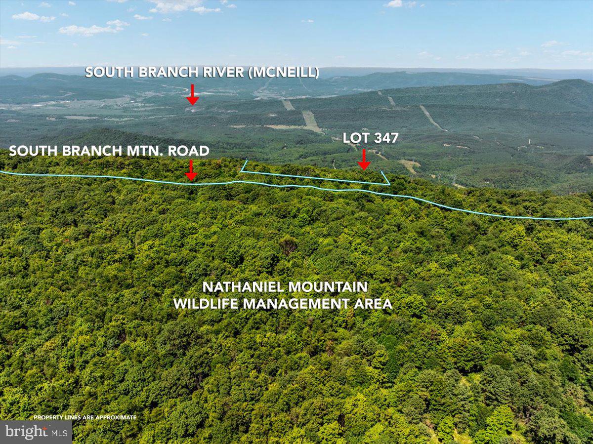Lot 347 SOUTH BRANCH MOUNTAIN
