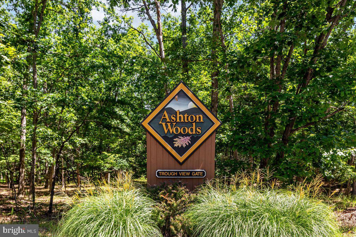 Lot 347 SOUTH BRANCH MOUNTAIN