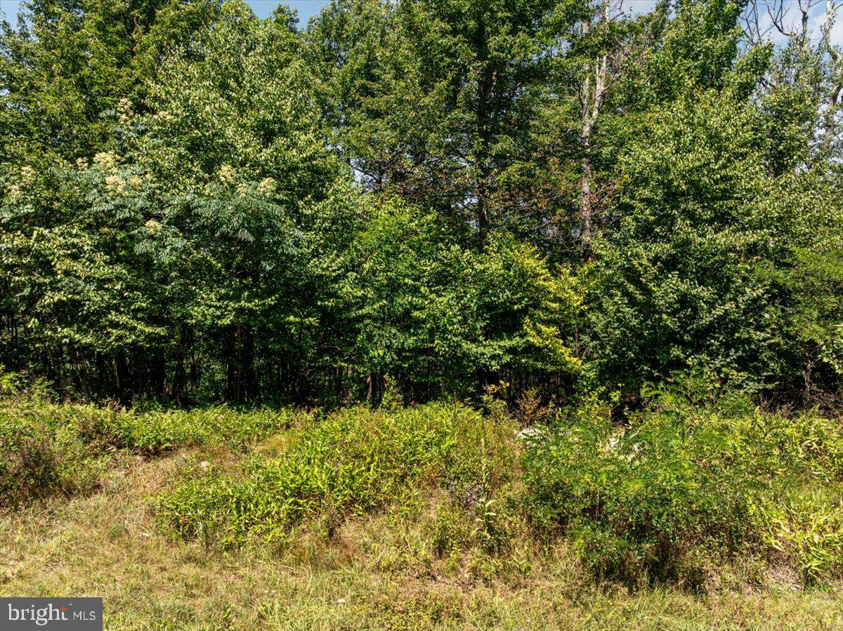 Lot 347 SOUTH BRANCH MOUNTAIN