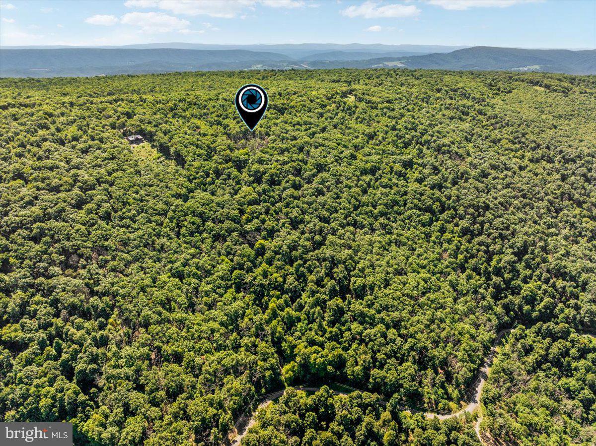 Lot 347 SOUTH BRANCH MOUNTAIN