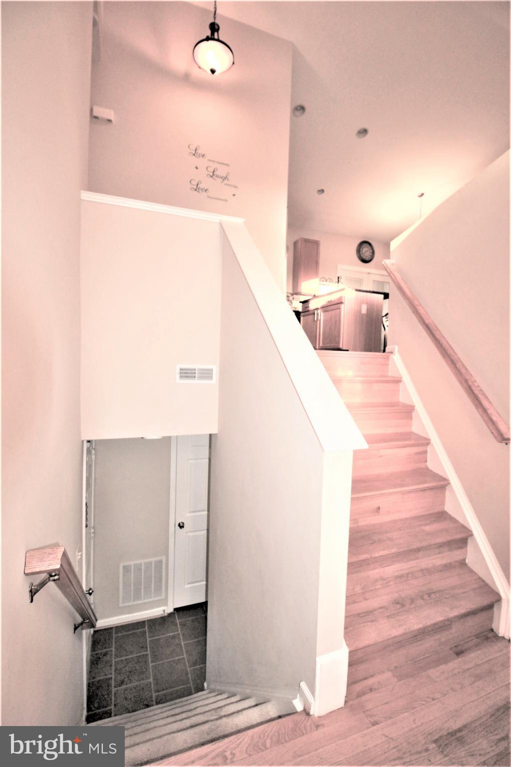 MUSE HILL - Residential