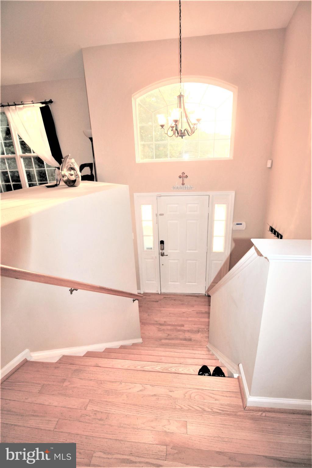 MUSE HILL - Residential