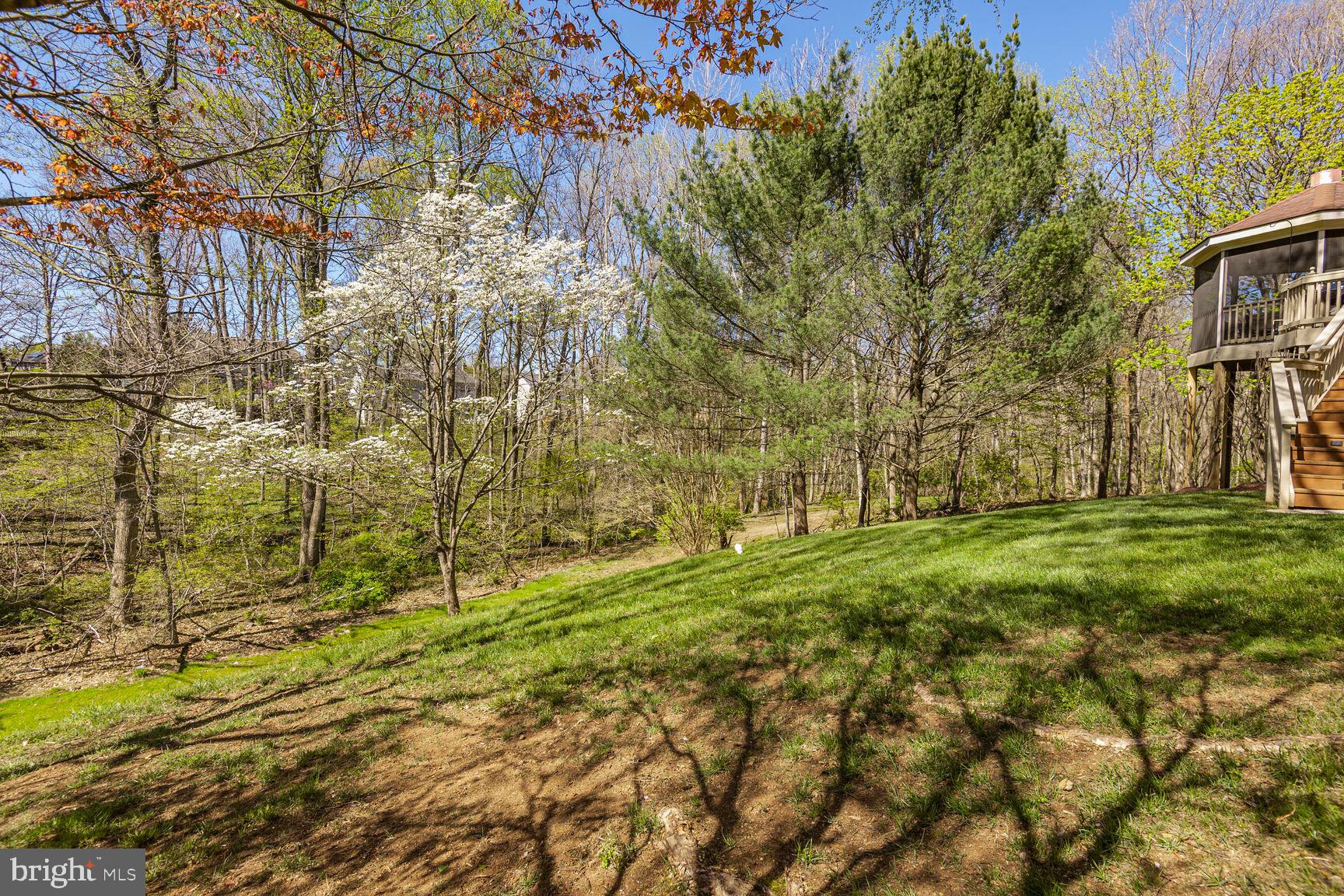 POTOMAC HUNT - Residential