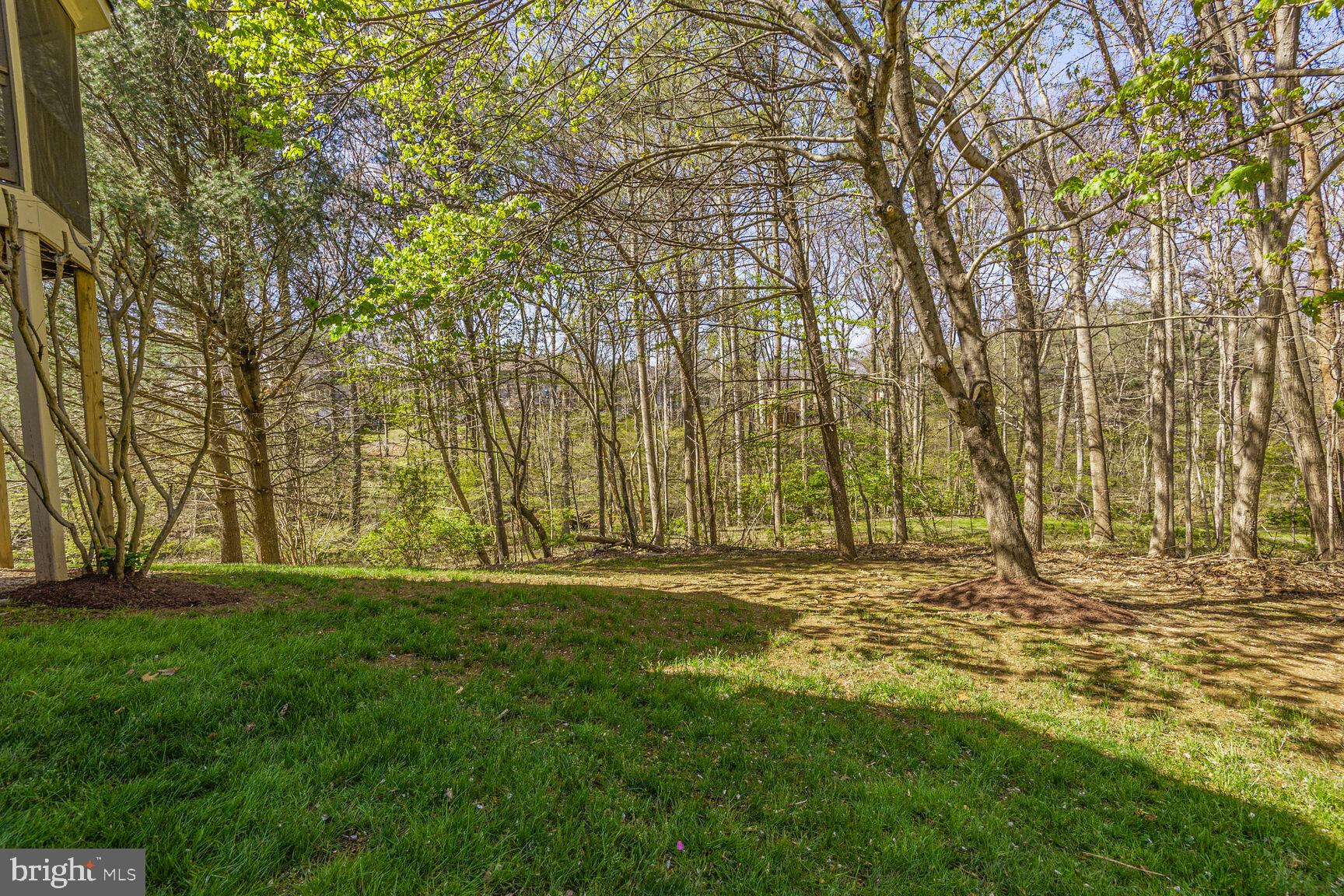 POTOMAC HUNT - Residential