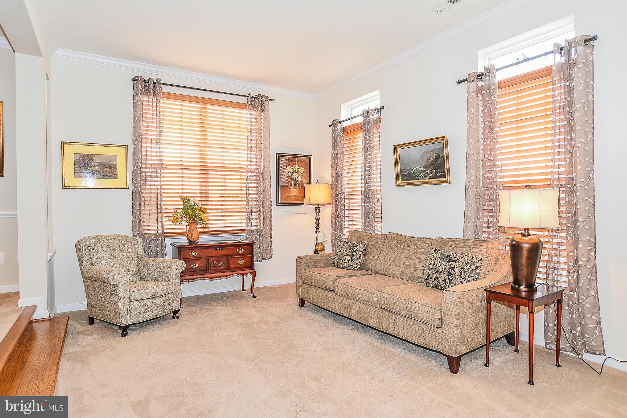 ELYSIAN HEIGHTS - Residential