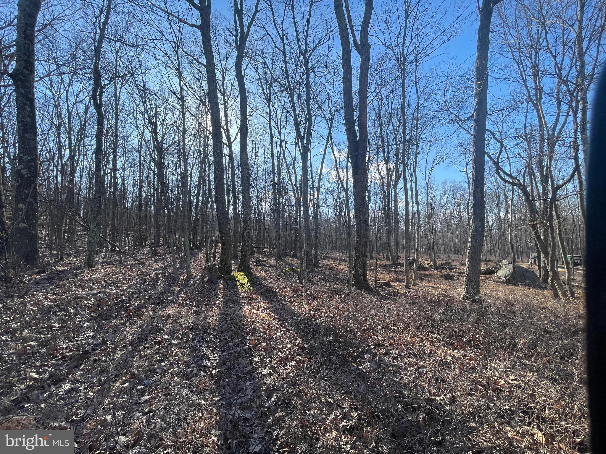 LET'S BUILD YOUR DREAM HOME on this .6 acre level lot in the COVE VILLAGE COMMUNITY! Whether you've been imagining building a second home or just waiting to build that forever home, WAIT NO MORE! An available adjoining lot can be purchased for an even more expansive property!
The Cove Village Community is situated in the foothills of the Poconos and only 1 1/2 hours to New York, With easy access to I-81 your commute to Hazleton, Wilkes Barre, or Scranton is a breeze. Bring your own builder and let's get started. Another cost-saving perc of the community is having public water and sewer already in place and ready for you to connect through Aqua of Pa. 750 acres of unoccupied prime hunting, ATV, and snowmobile riding land surround the residential portion of Cove Village and is allocated only for the residents of the community and their guests! Driving through the community, the peace and tranquility will envelop you. At any given moment the deer, turkey, and birds will entertain you in your own backyard. Homes within the community vary from rustic cabins and chalets to traditional ranch or two-story homes and even exquisite new construction or dreamy mountain log homes. There really is something for everyone. The approximately 278 acres of residential homes and lots are occupied by full-time residents, part-time vacation homes, and even some snowbird second homes. Cove Village offers an abundance of amenities including a swimming pool, stocked fishing lake, a basketball court, tennis courts, a volleyball court, 2 playgrounds, a baseball field, ATV paths, hunting, a mini golf course, walking paths, and year-round Community events. I can't forget to mention the beautiful lodge ideal to rent for family gatherings. This lot and community just might be exactly what you've been looking for. Air B and B are not permitted. Camping on vacant lots is not permitted. Mobile homes are not permitted. The minimum square footage when building is 1400 square feet. The community maintains the roads and snow removal. Trash collection is also provided. An appointment is required to view due to the gated community. Call to schedule your tour today!