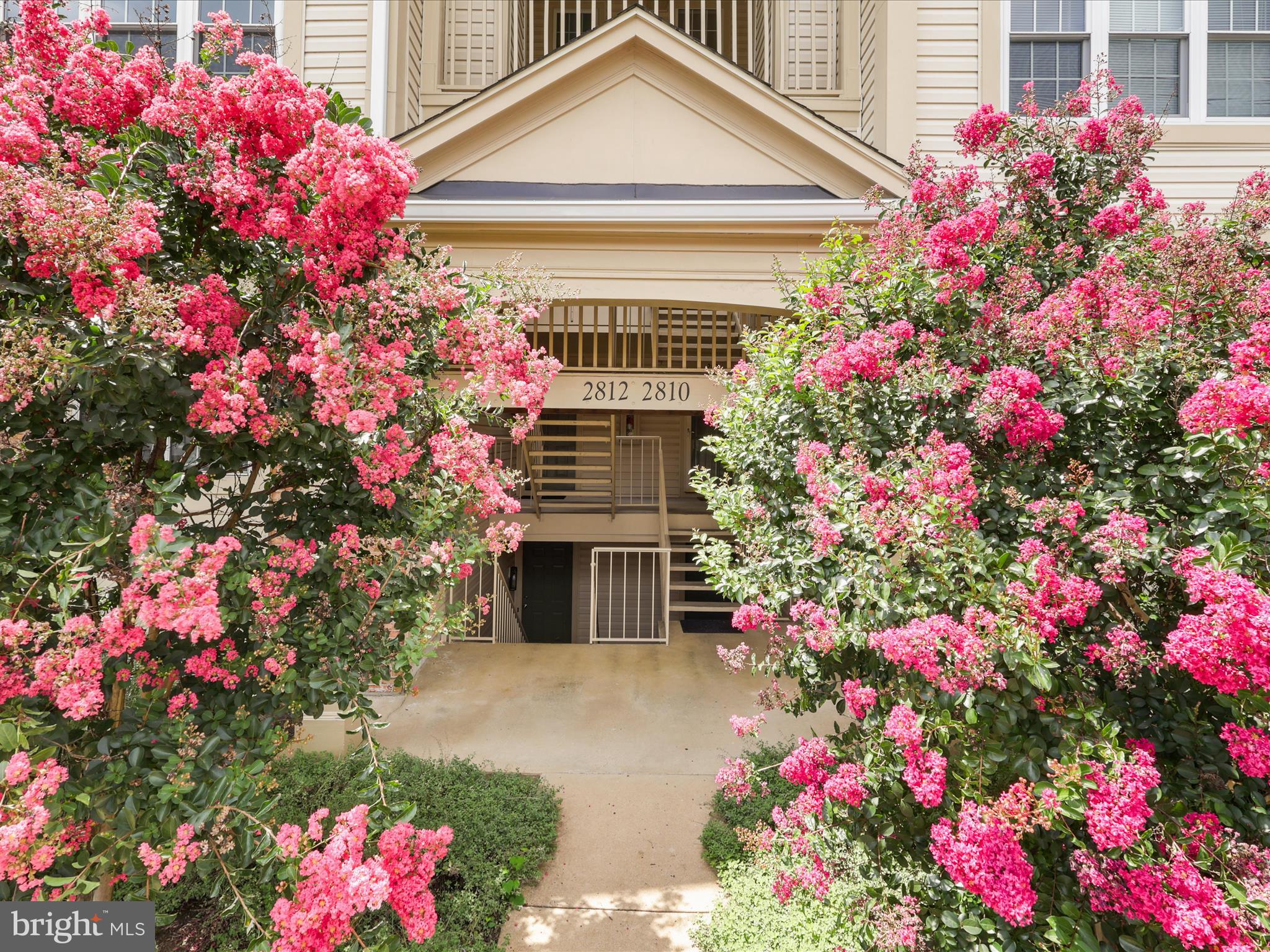 2812 EMMA LEE STREET 303