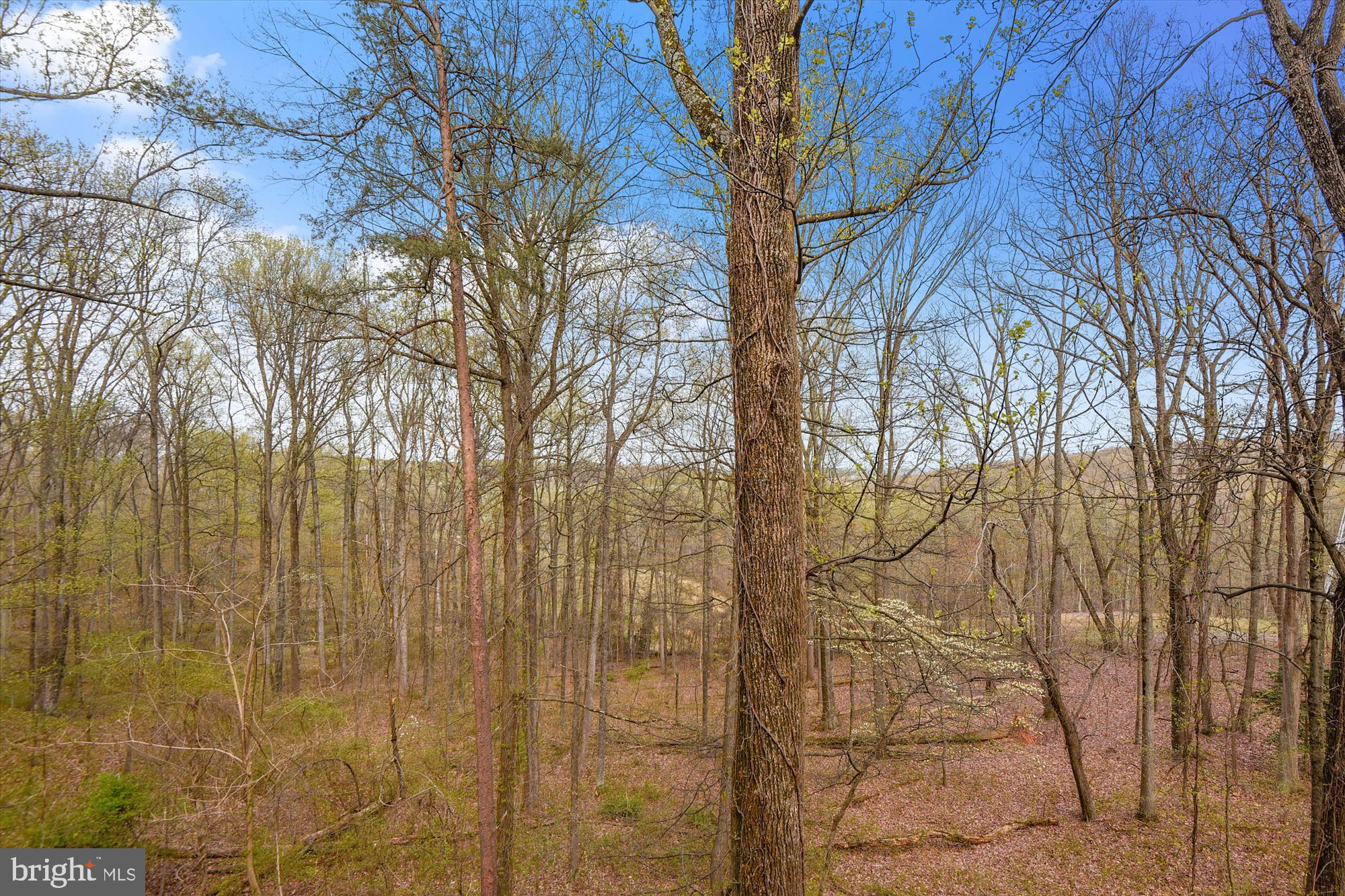 REISTERSTOWN/GLYNDON - Residential