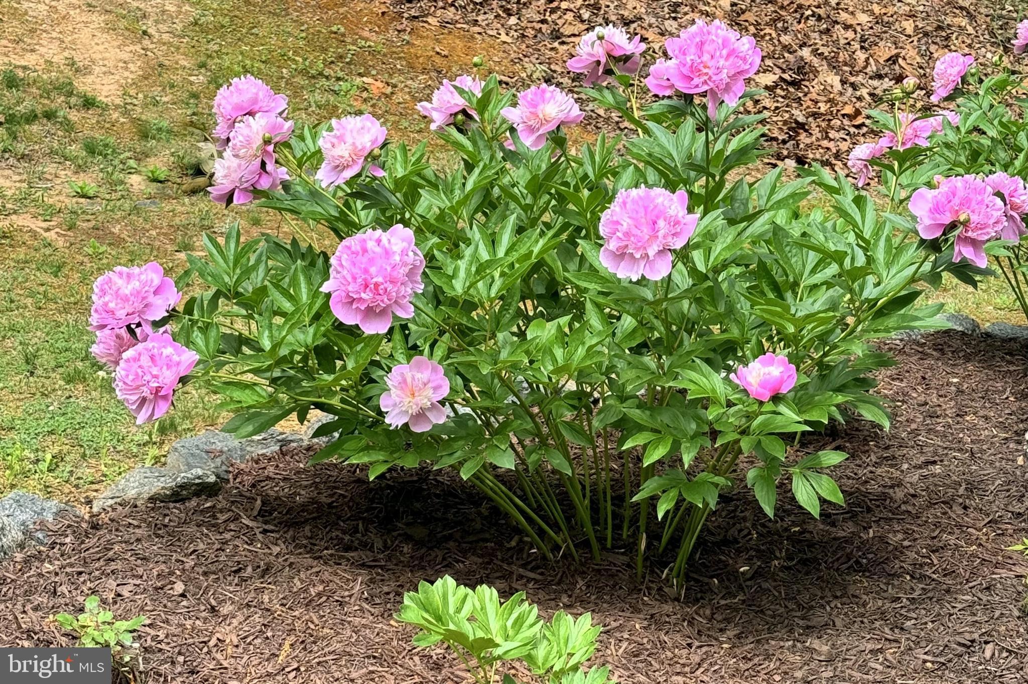 MALVERN - Residential