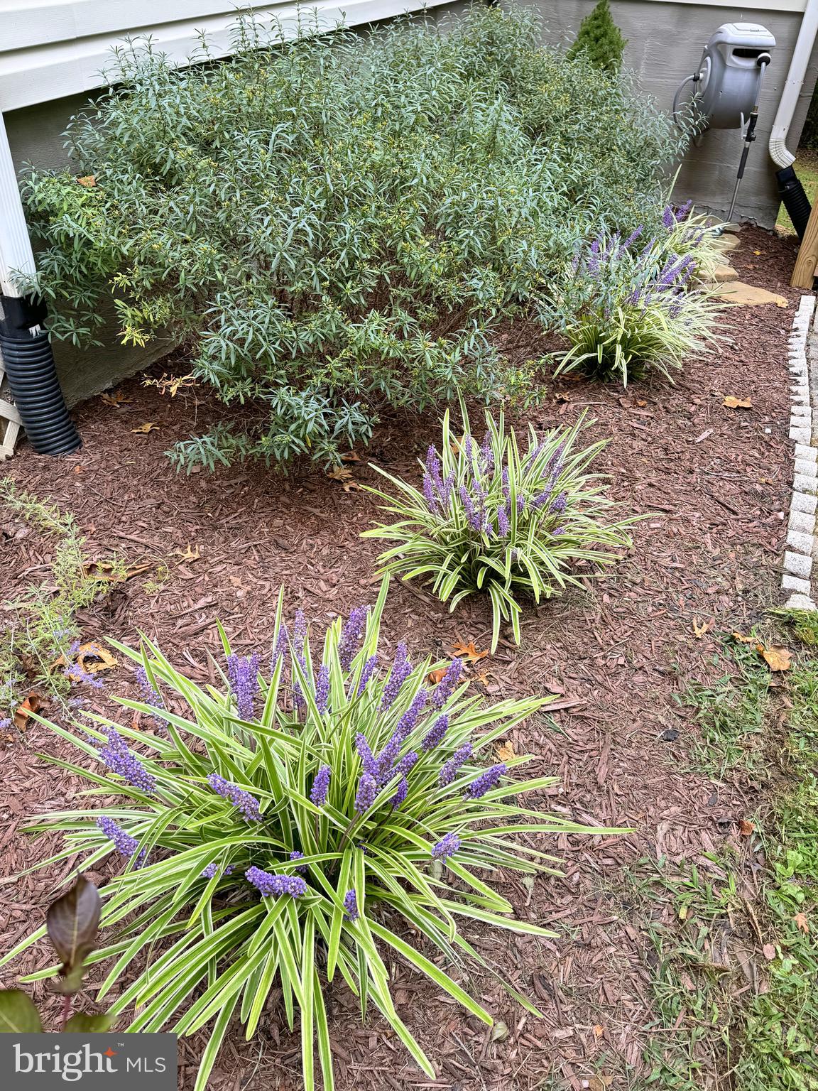 MALVERN - Residential