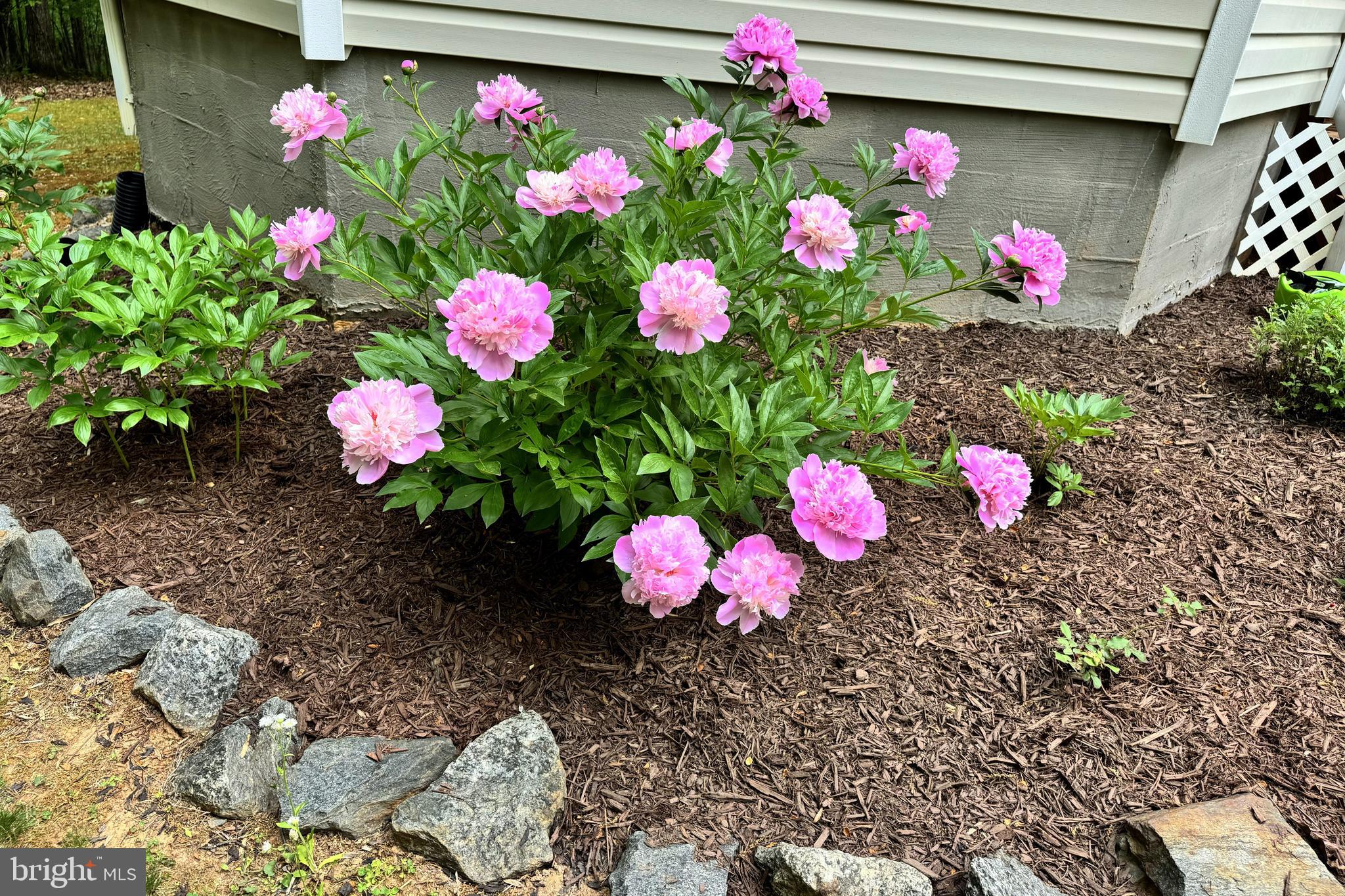 MALVERN - Residential