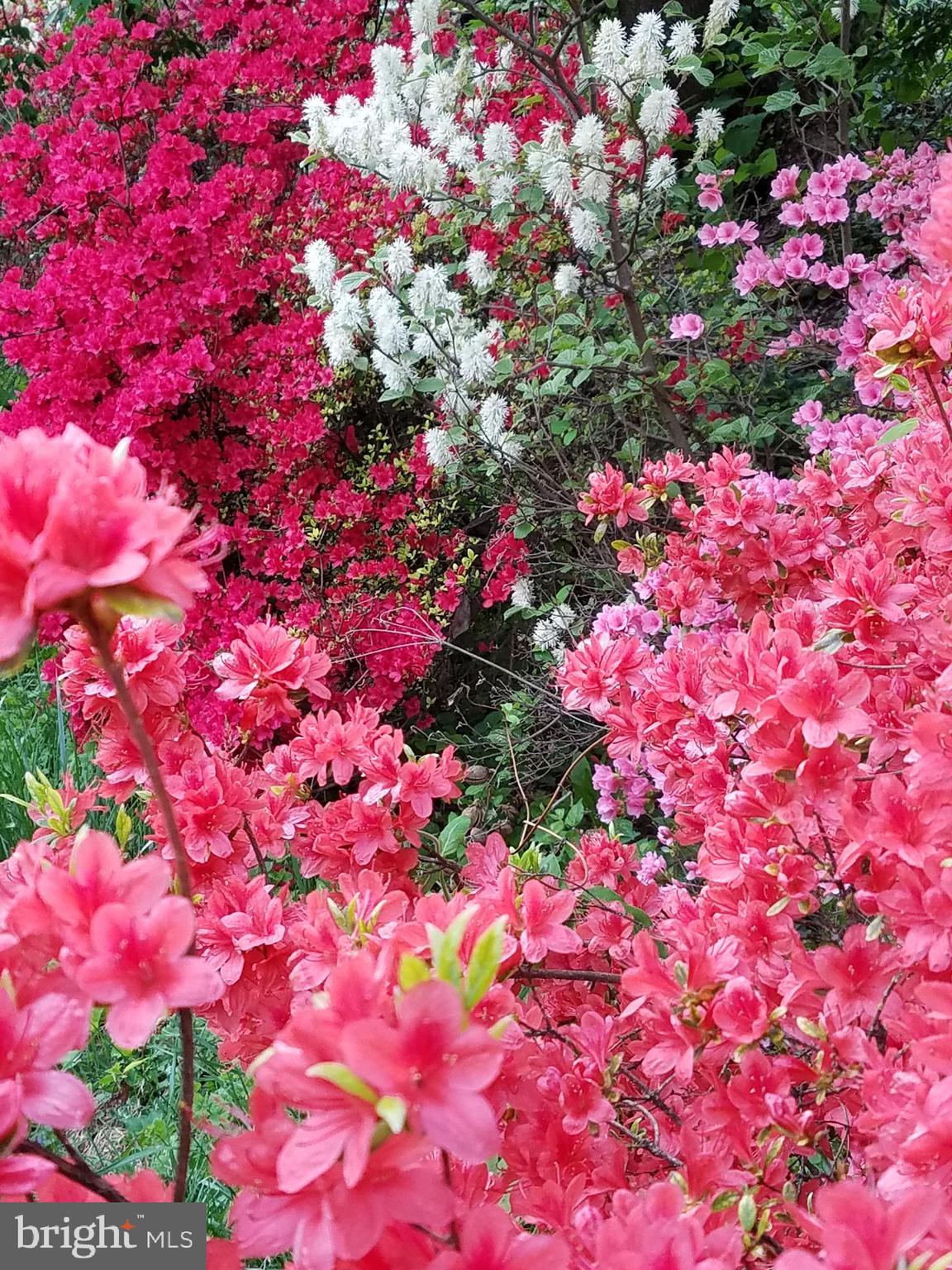 WYNCOTE - Residential