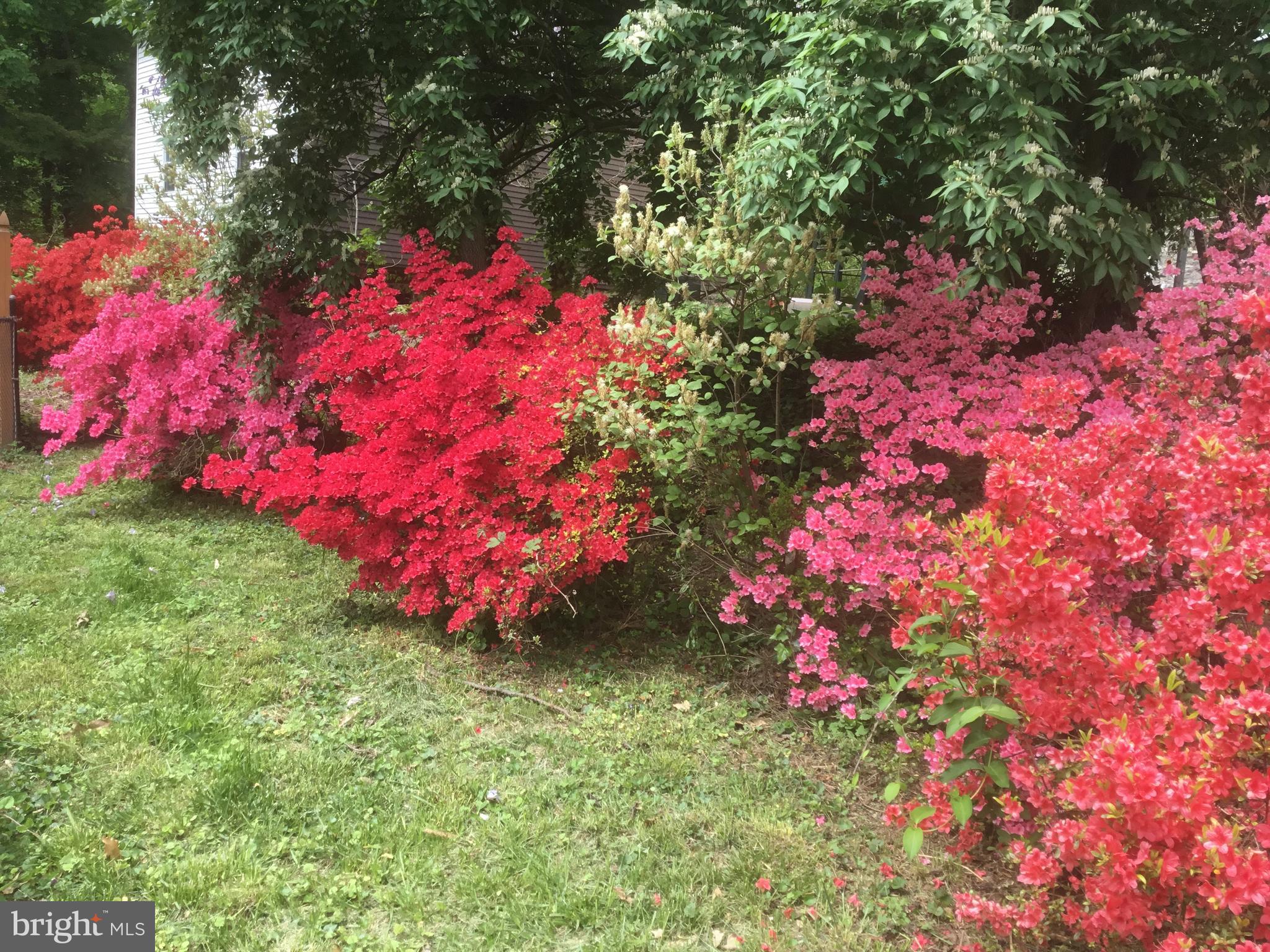 WYNCOTE - Residential