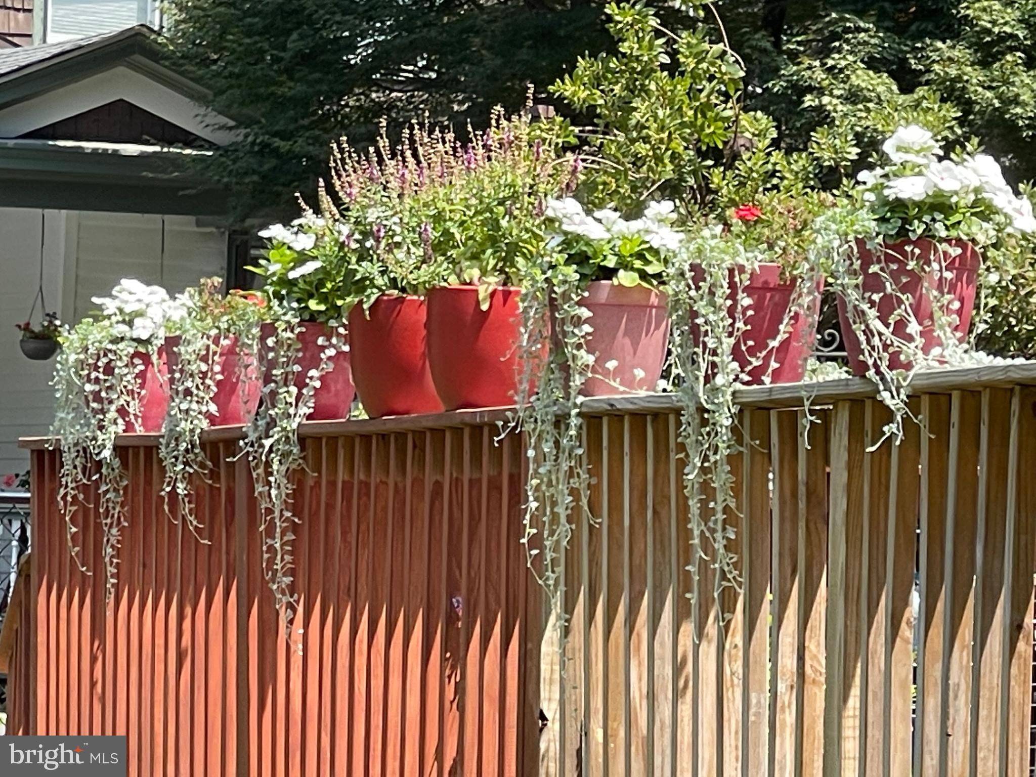 WYNCOTE - Residential