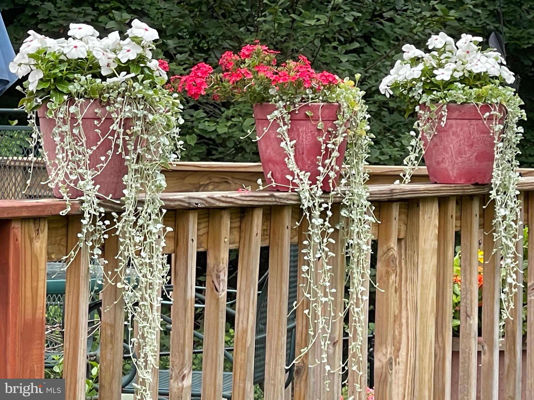 WYNCOTE - Residential