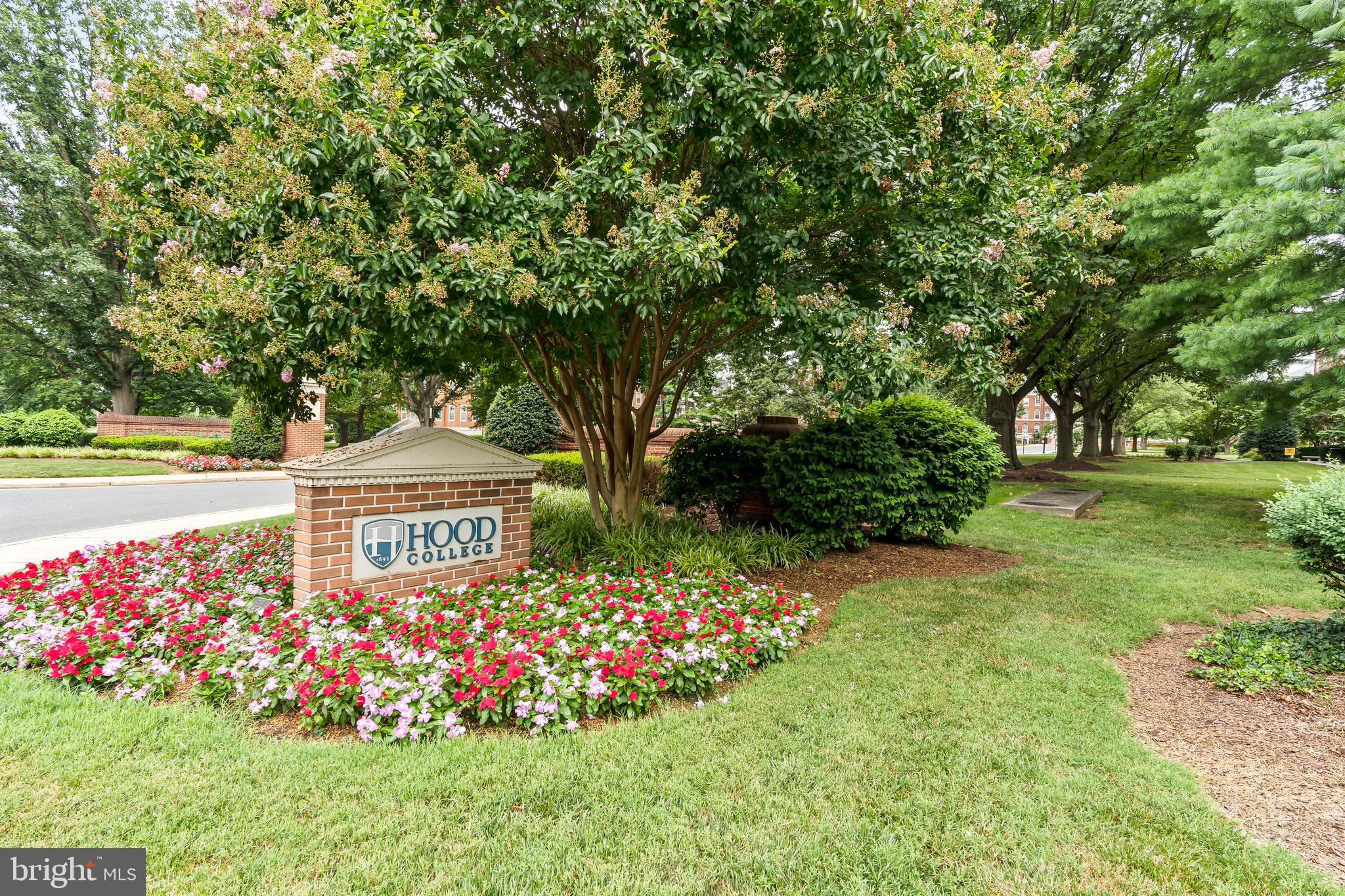 DOWNTOWN FREDERICK - Residential