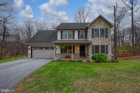 3 WHITETAIL DRIVE STEVENS PA 17578