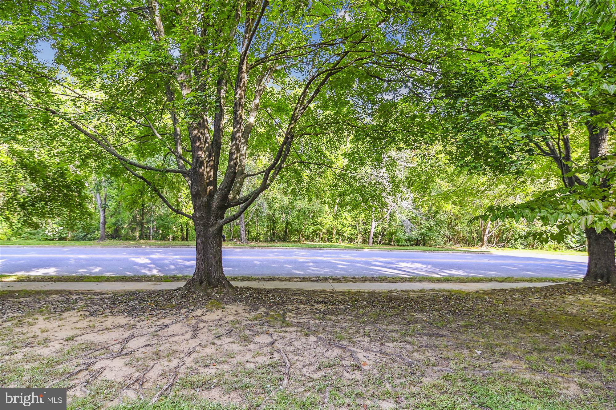 NORTH PORT CONDO - Residential