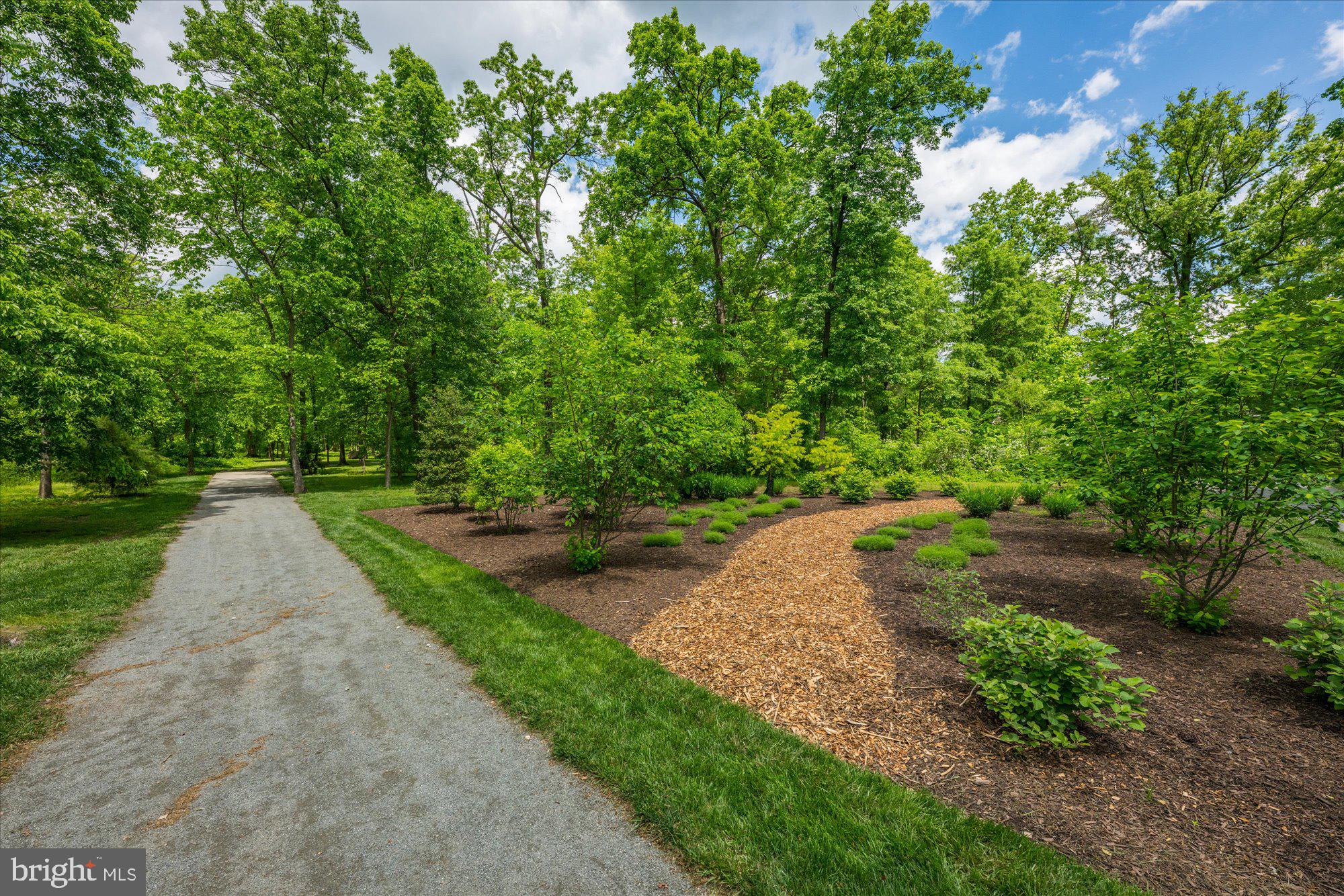 ONE LOUDOUN - Residential