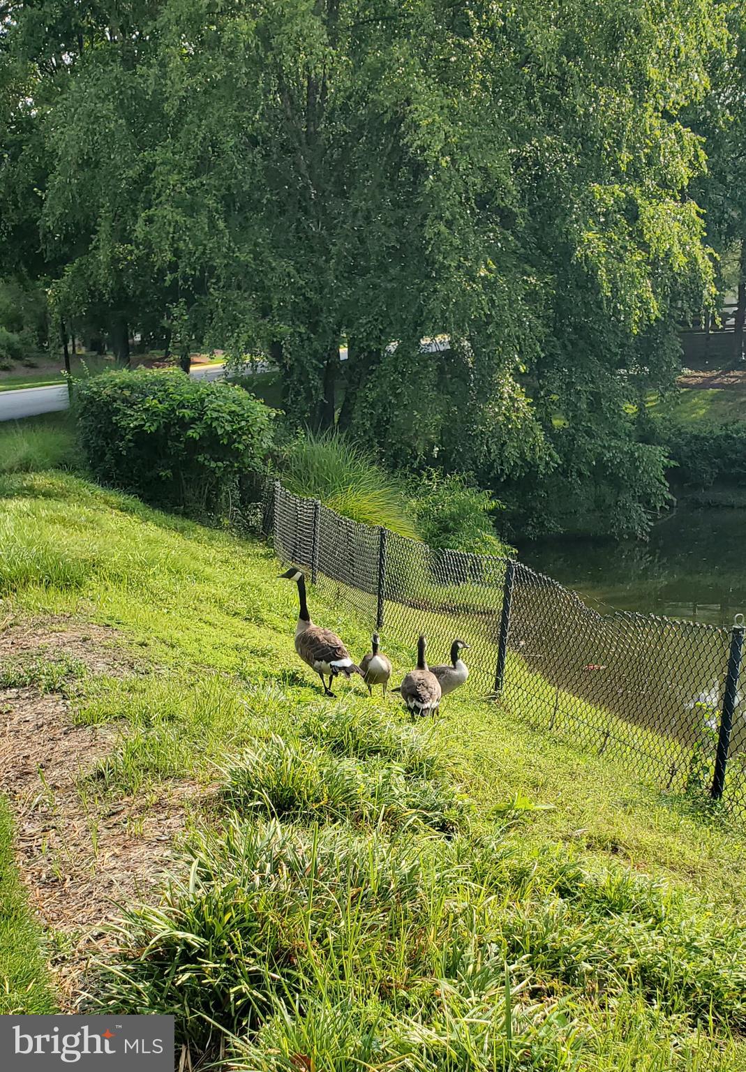 GREY ROCK VILLAS - Residential
