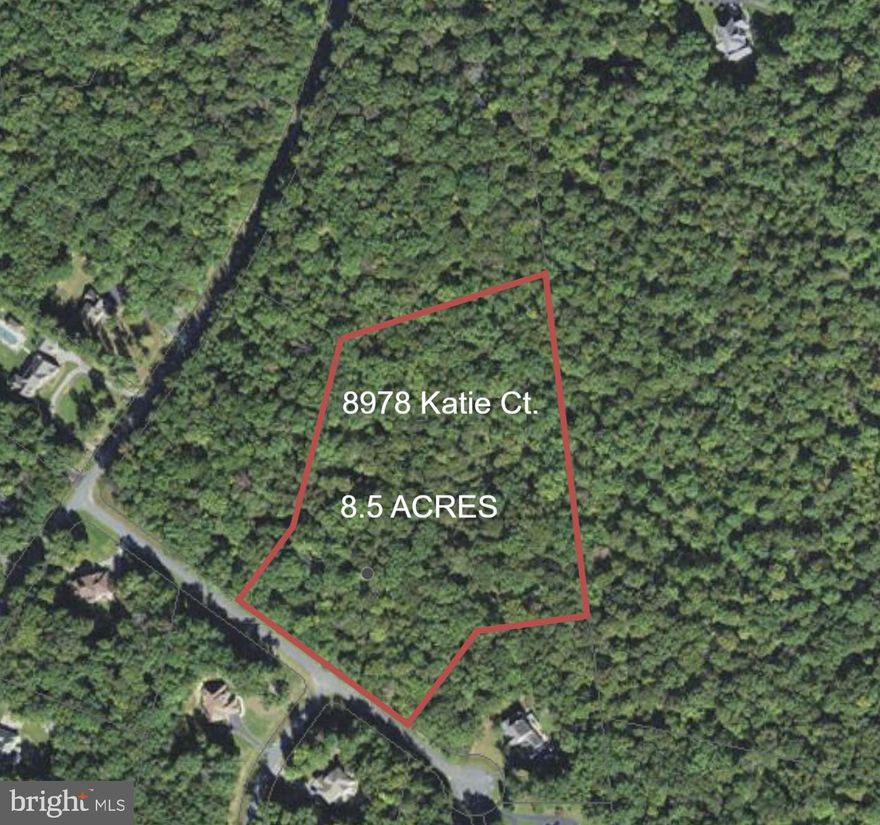 8.5 acres in sought after Locust Grove Estates with No HOA and No restrictive covenants! Great location with easy access to Rt. 301, only 2.5 miles to downtown La Plata. Approved perc and ready to build your dream home! The lot is completely wooded with the proposed house site nestled towards the back leaving you surrounded by trees! Your Private Oasis awaits!