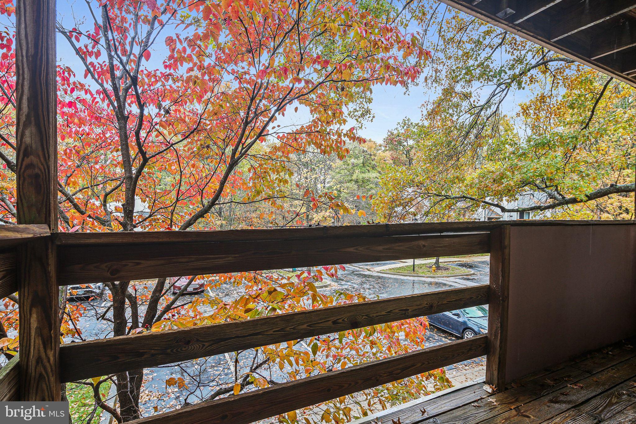 CLARYS FOREST - Residential