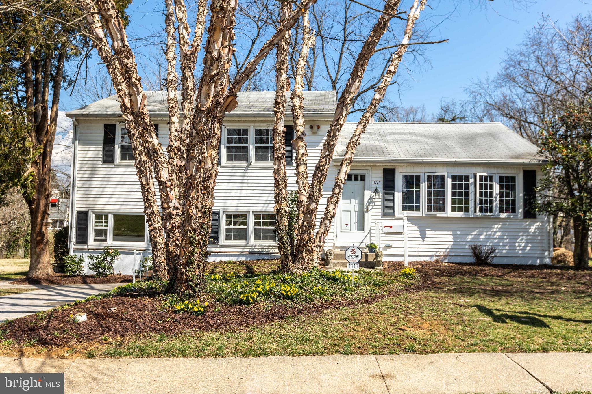 DULANEY VILLAGE - Residential