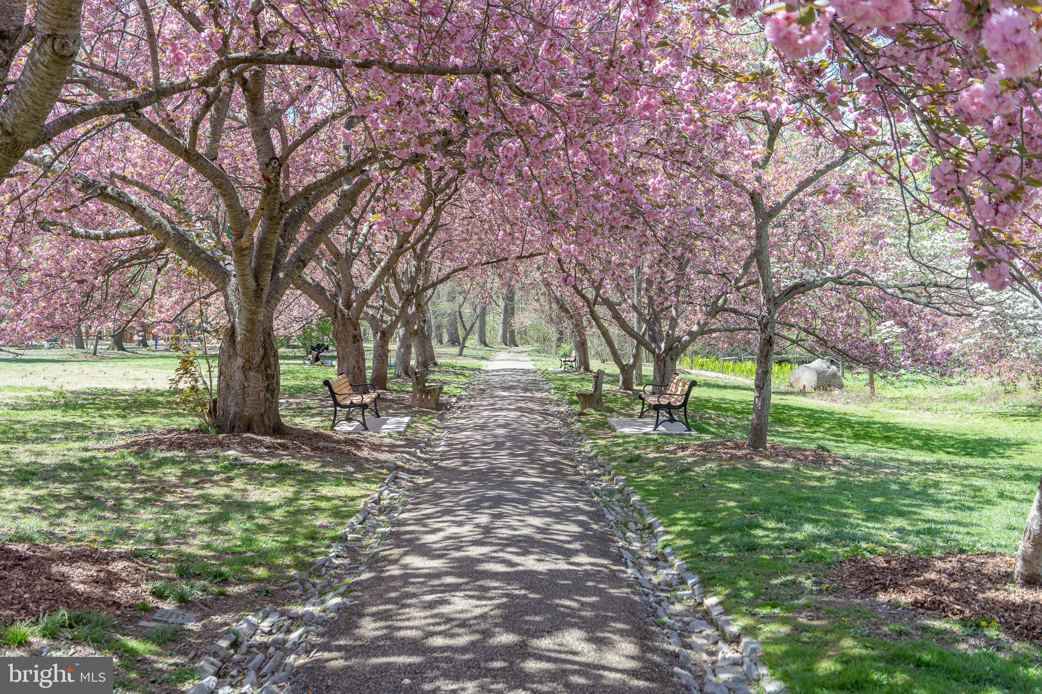 WEST CHESTER BORO - Residential