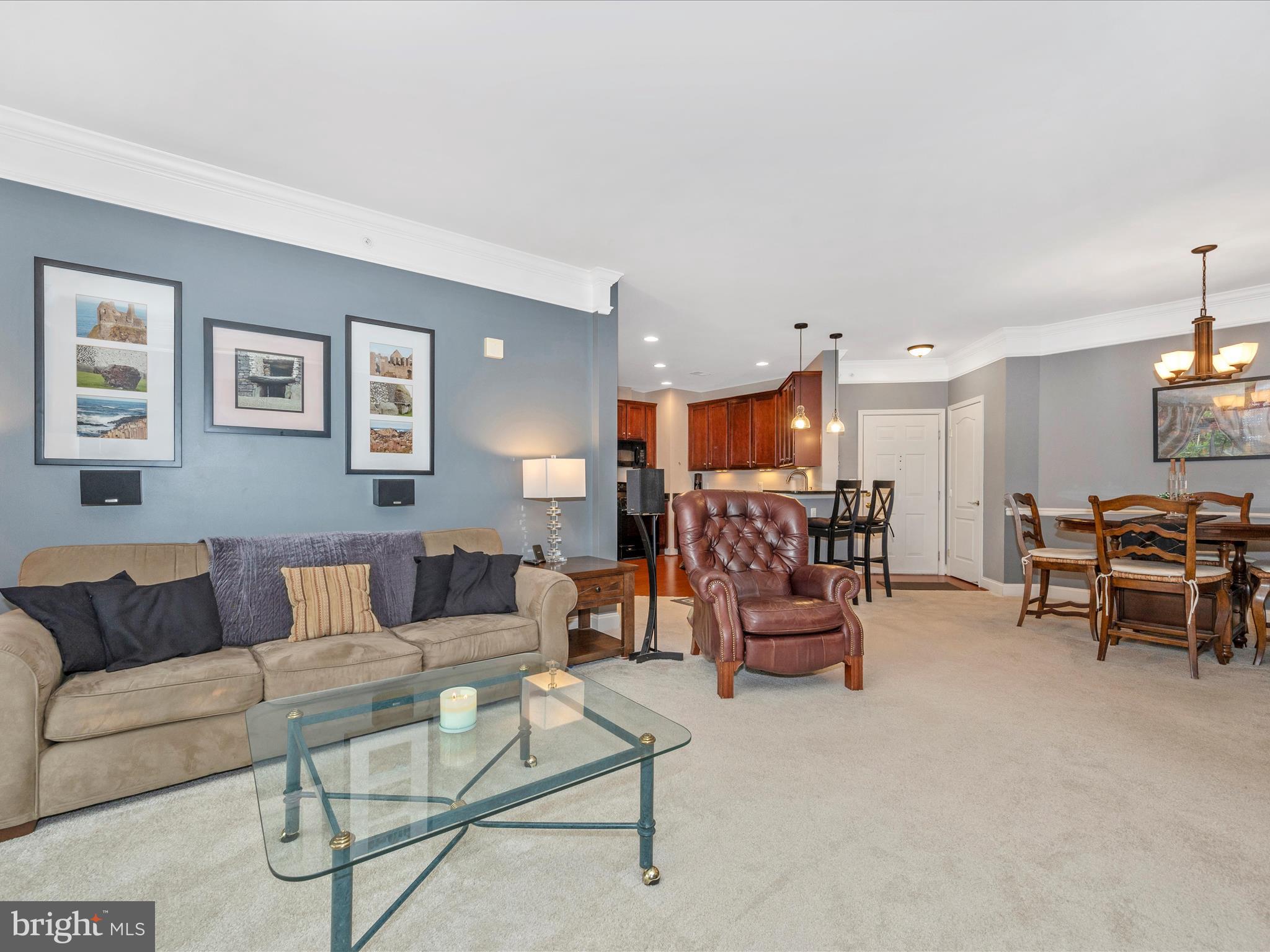 CLARKSBURG TOWN CENTER - Residential