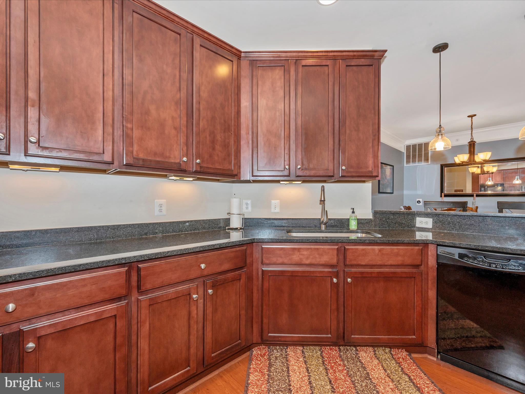 CLARKSBURG TOWN CENTER - Residential