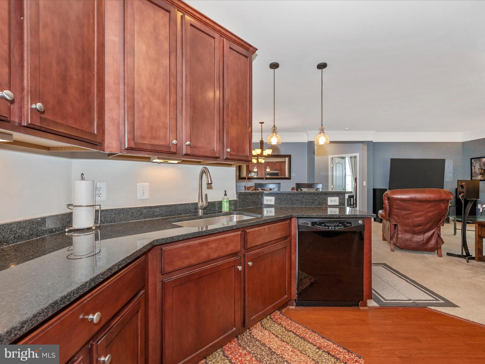 CLARKSBURG TOWN CENTER - Residential