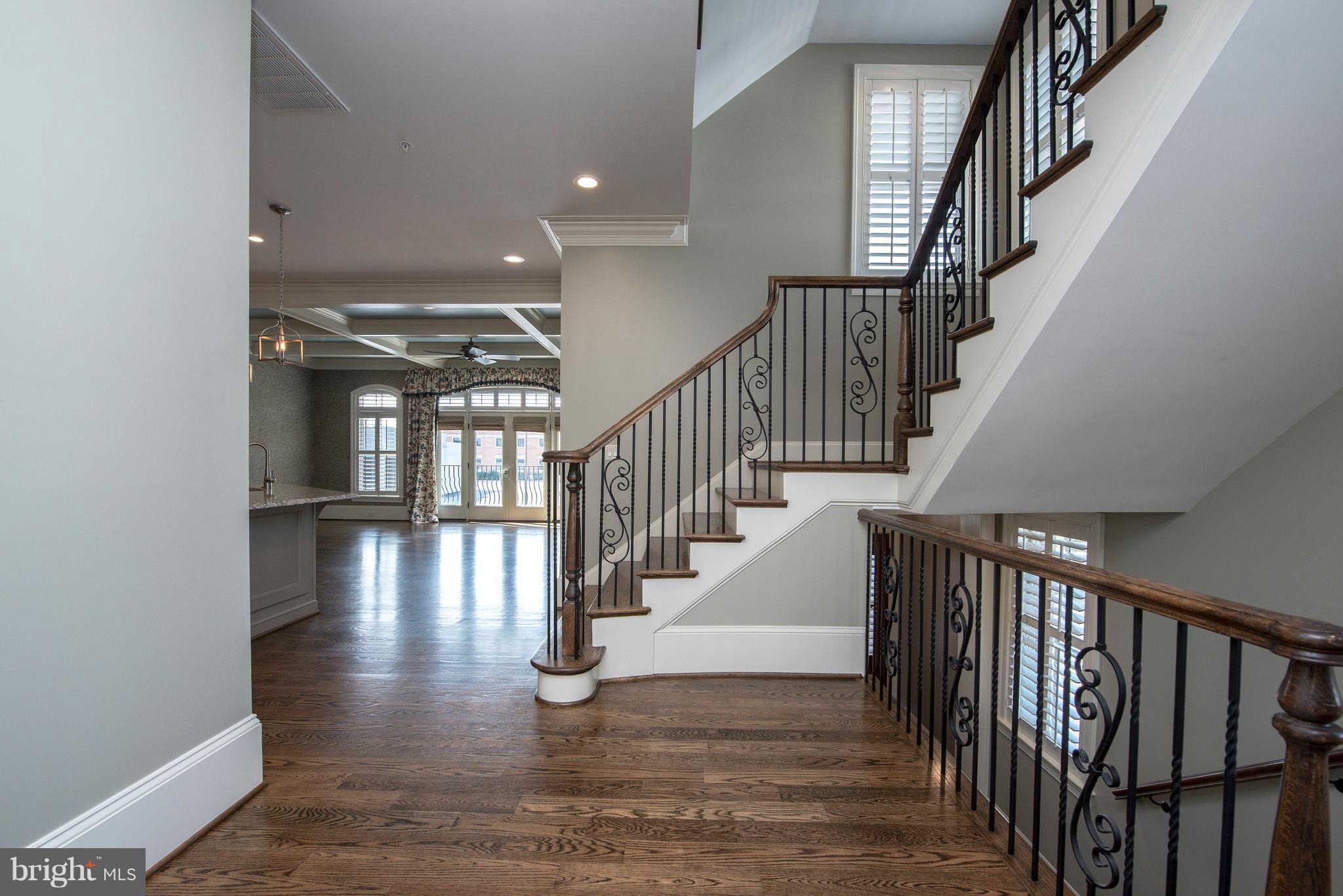 AMELIA SQUARE - Residential