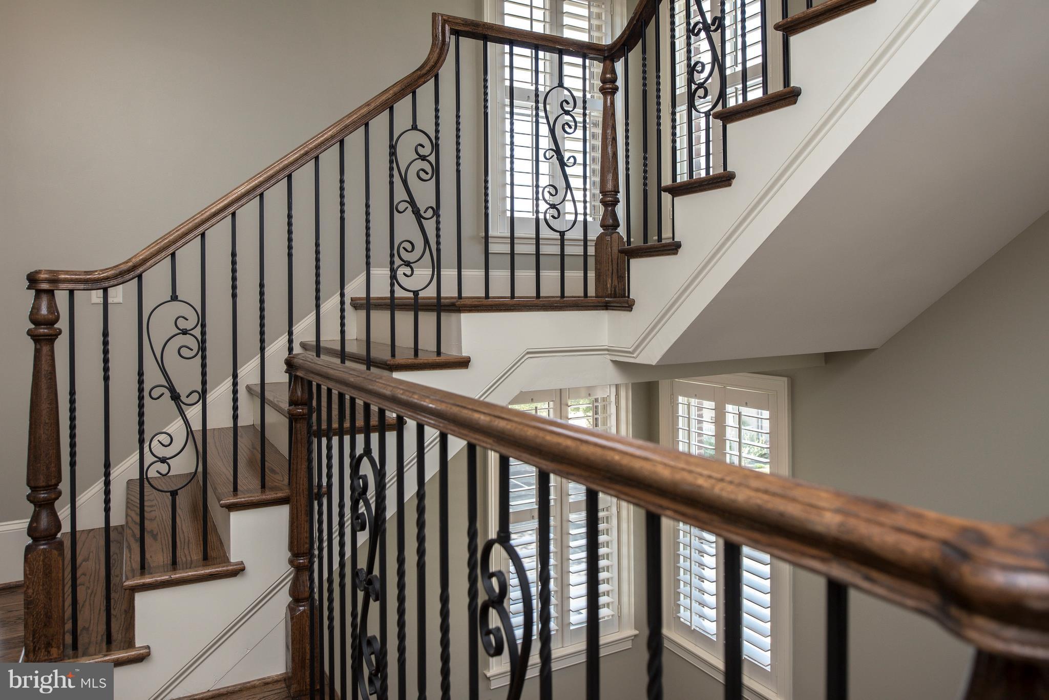 AMELIA SQUARE - Residential