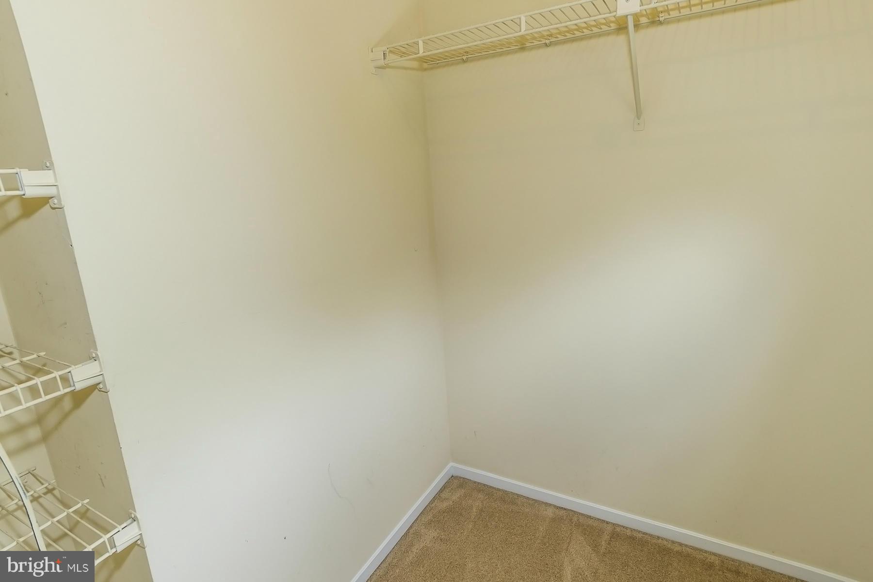 BONIFANT WOODS - Farm