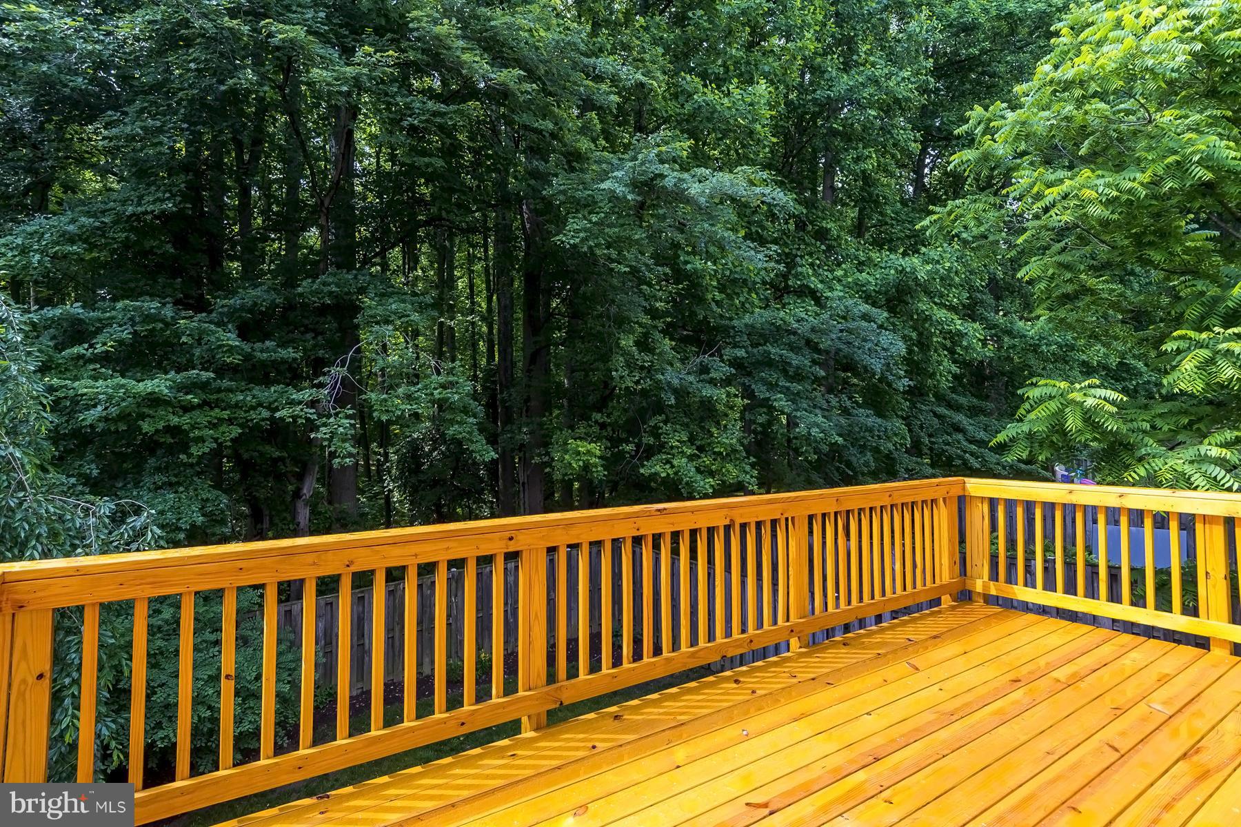 BONIFANT WOODS - Farm