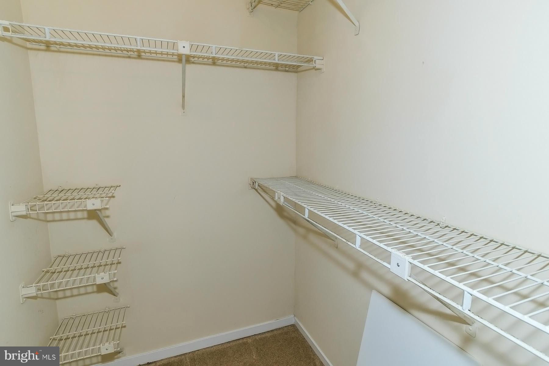 BONIFANT WOODS - Farm