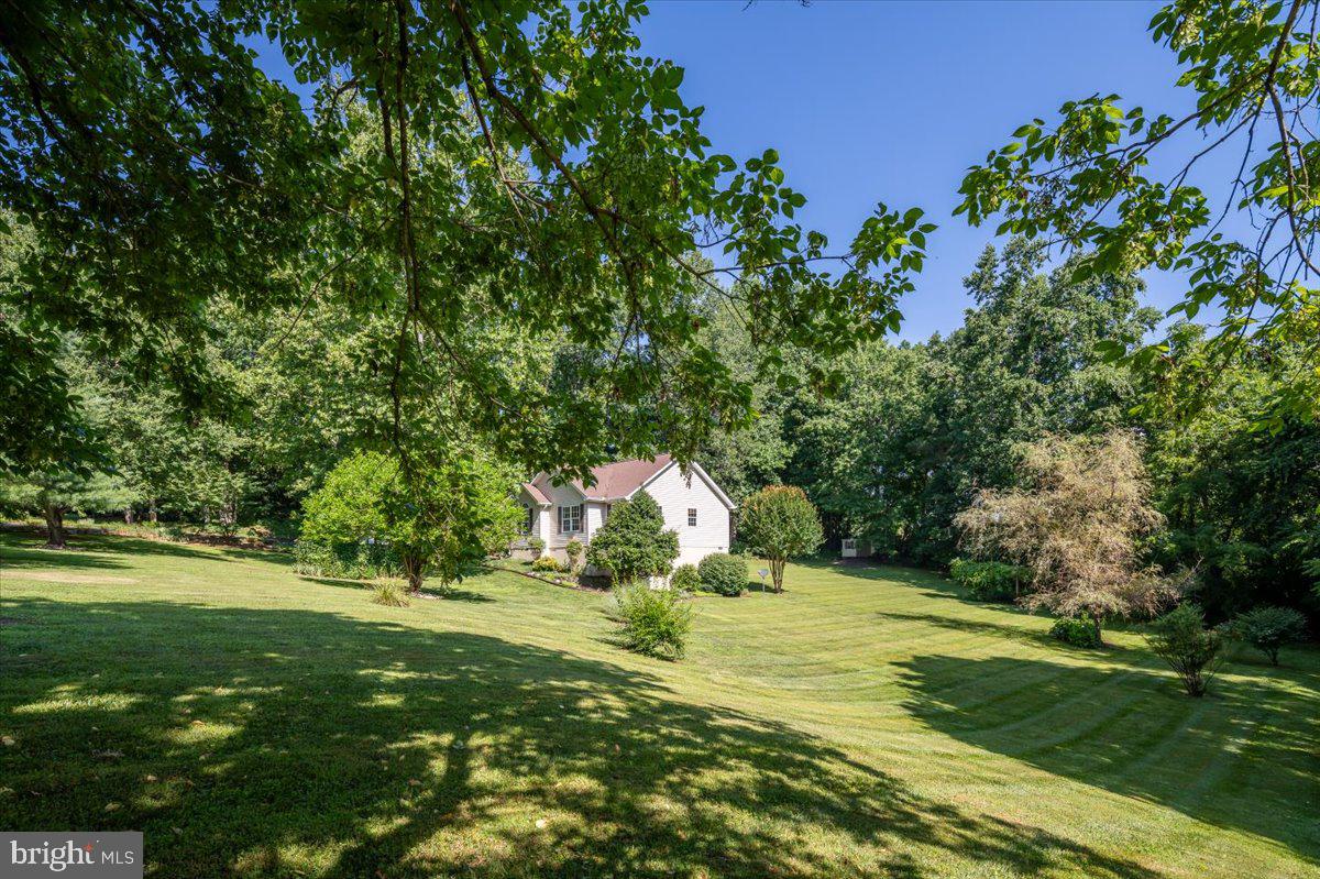 FOREST VIEW - Residential