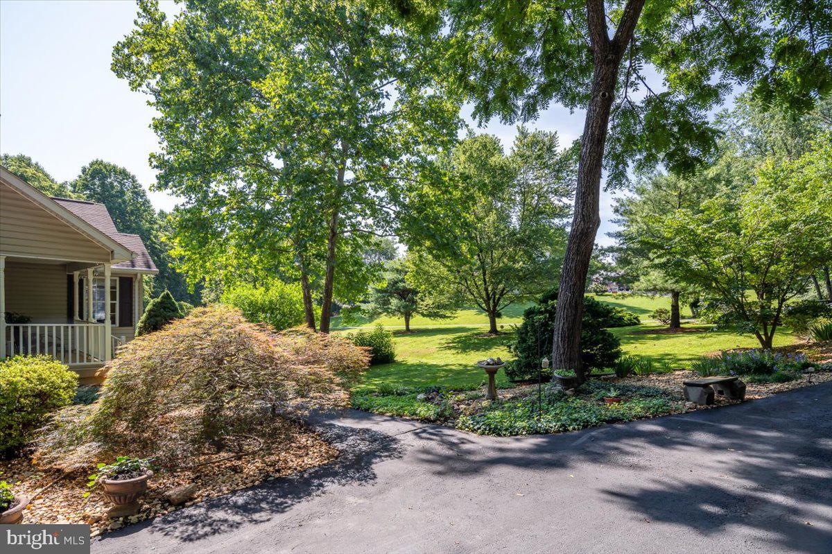 FOREST VIEW - Residential