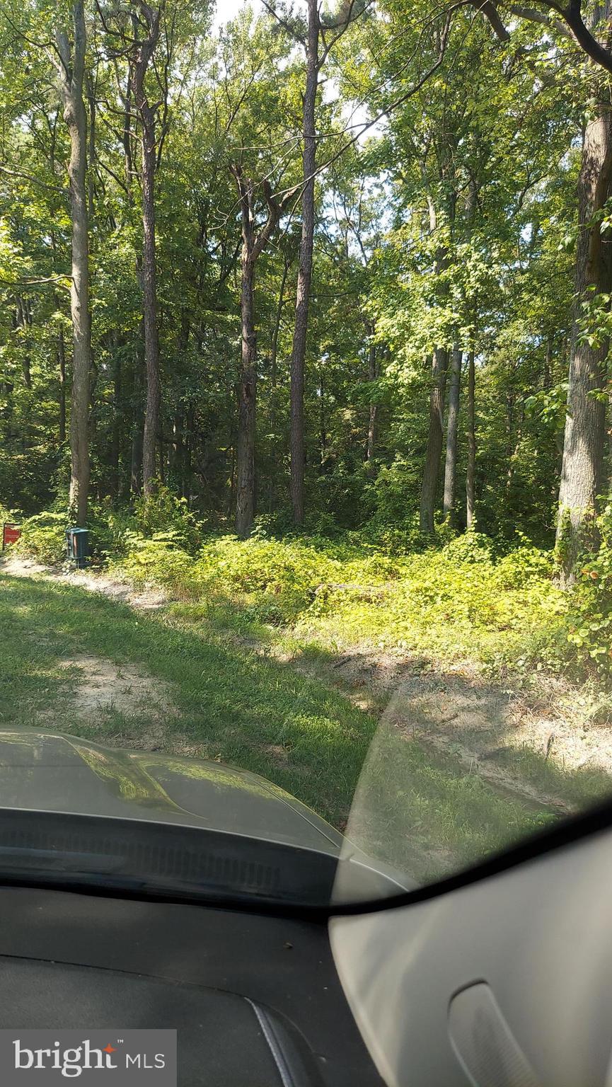 QUEEN ANNE COLONY - Land