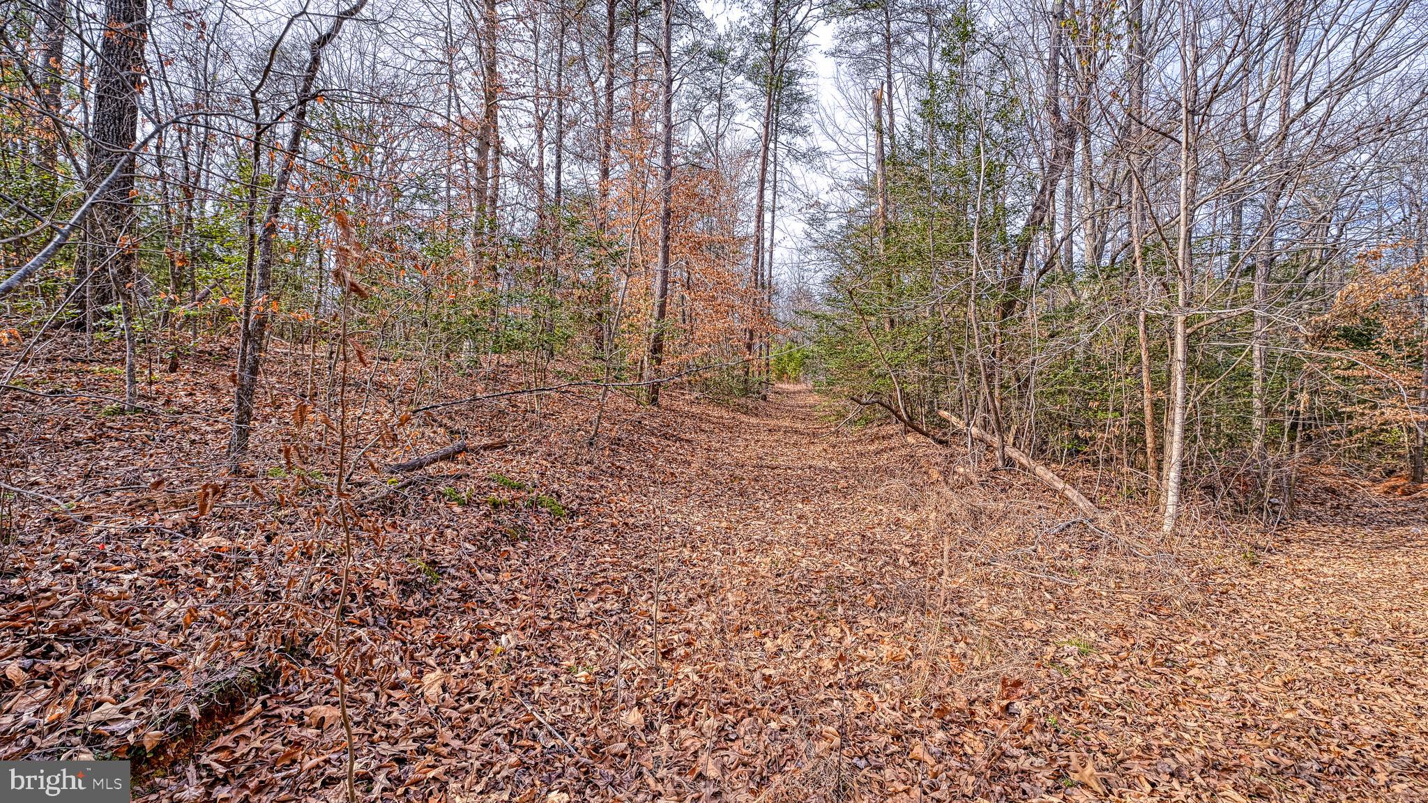 NONE AVAILABLE - Land