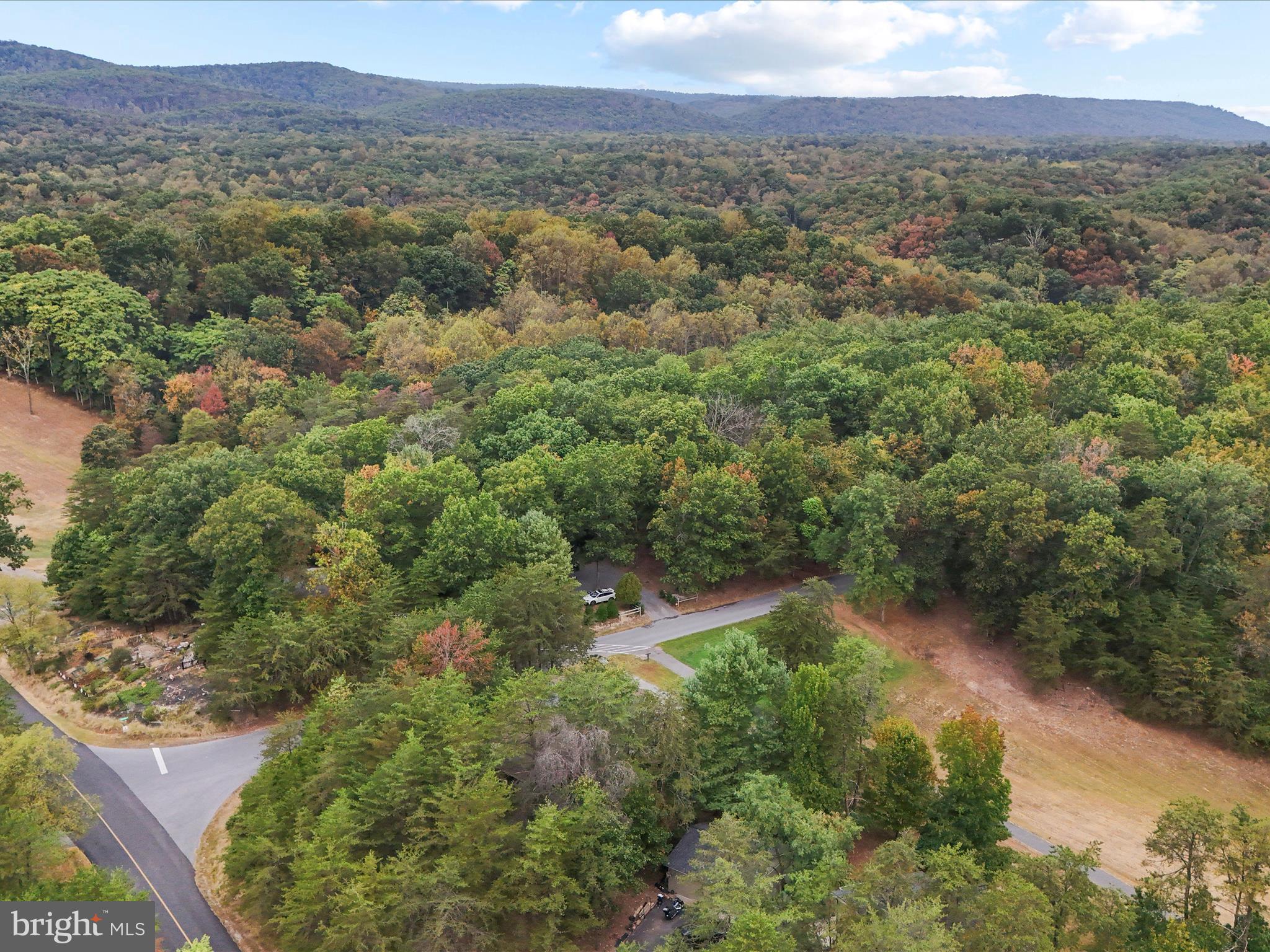 THE WOODS - Residential