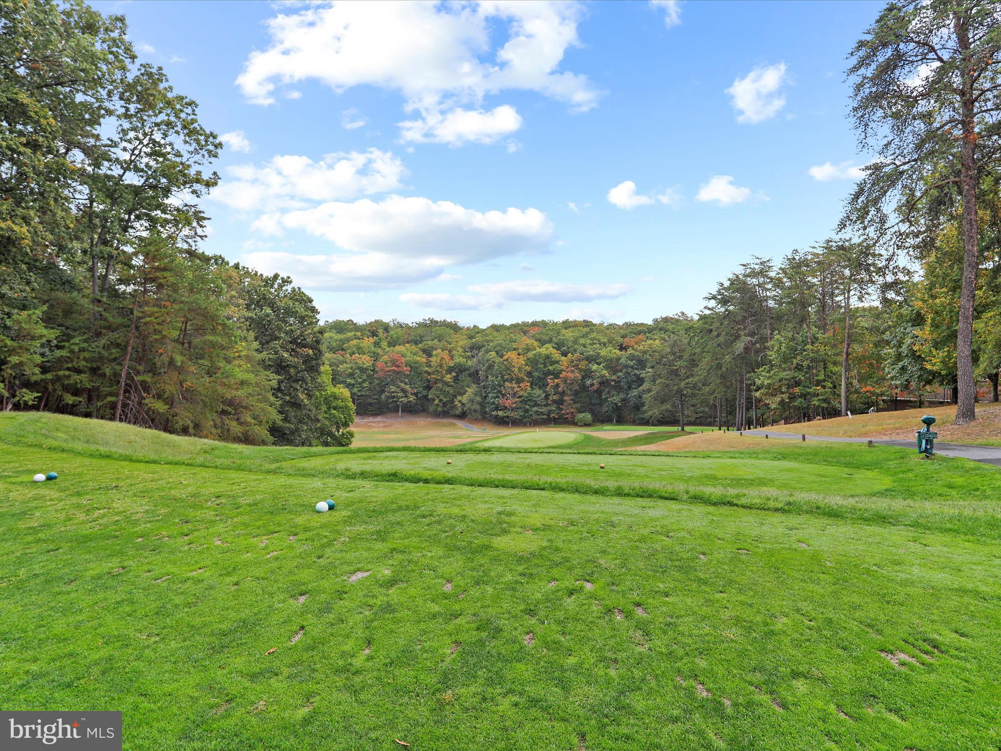 THE WOODS - Residential