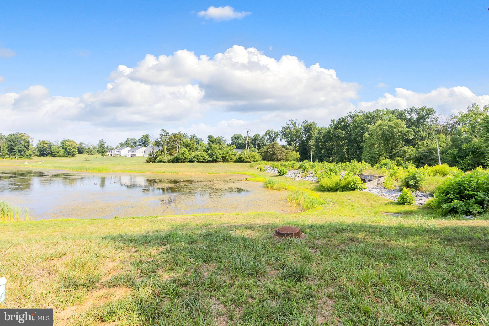THE LAKES AT MARTINSBURG - Residential