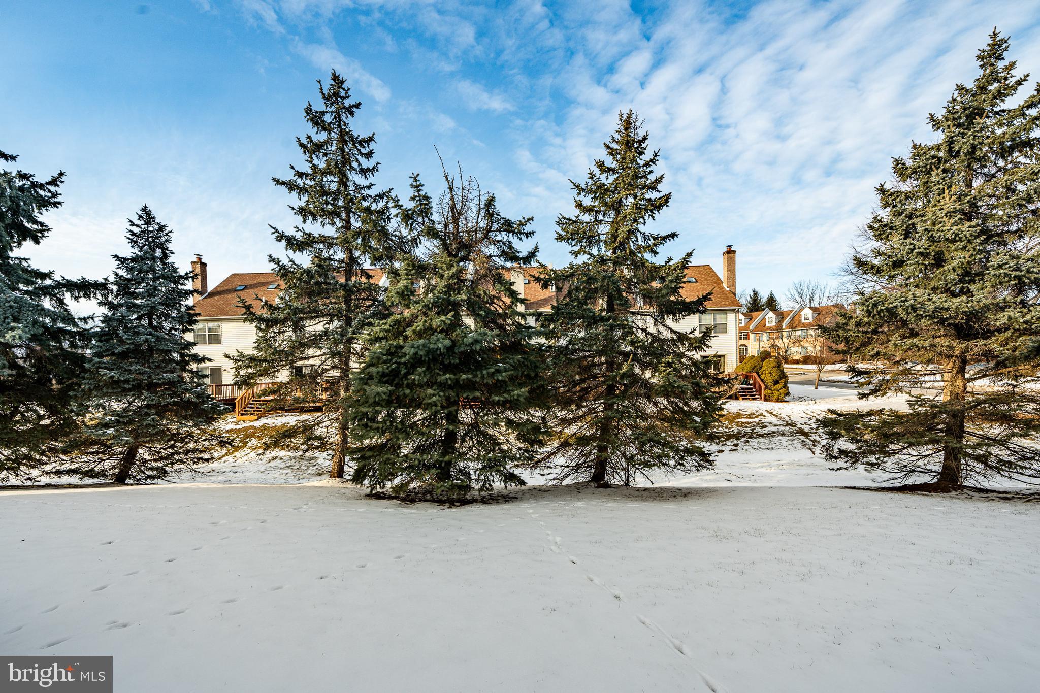 COURT AT JAMESTOWNE - Residential