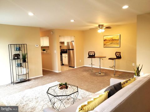 4513 ROMLON STREET 203 BELTSVILLE MD 20705