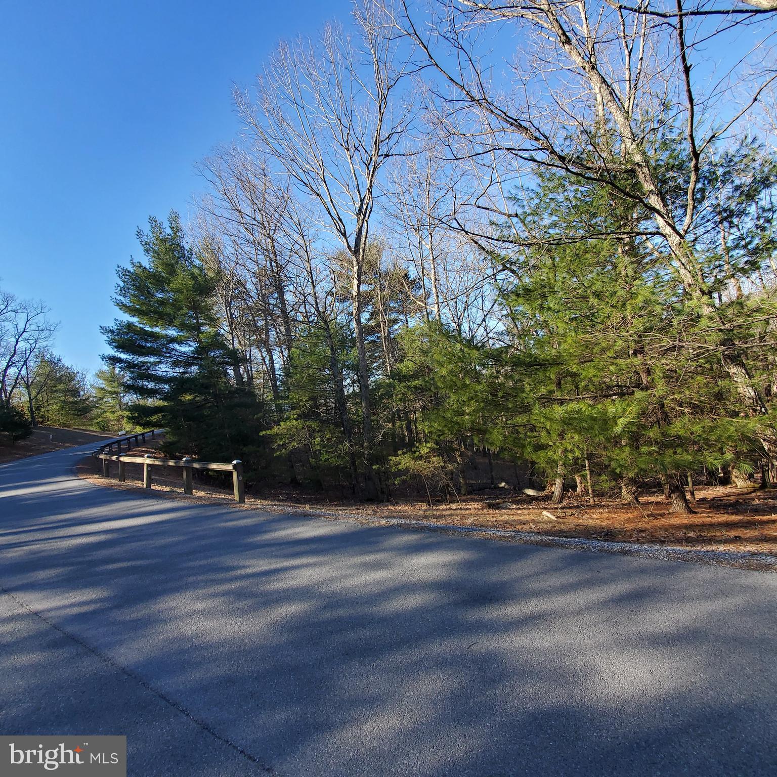 CACAPON SOUTH - Land